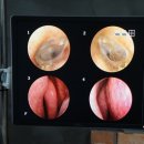 탑메드 메디칼 이미지