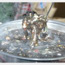 보라가든 이미지