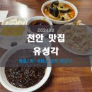 유성각 - 익산시 중앙로1길 19-1 | [천안 유성각] 천안중국집맛집 내돈내맘 후기 : 맛, 청결, 서비스 모두 만족! 재방문의사 100%