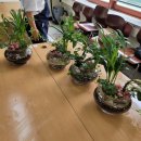 봉산중학교 이미지