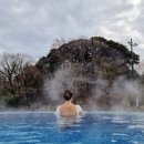 하니랜드수영장(실외) 이미지