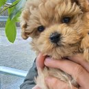 행복주차장 이미지