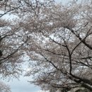 진주석유 - 2836 | 진주석유