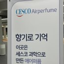 짐베이 피트니스 이미지