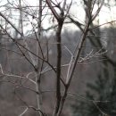 탑거리세천 이미지