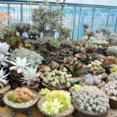 김인숙 농장 이미지