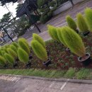 오정어울마당 이미지