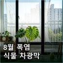재상창 | "잎 다 탔네" 8월 베란다 식물 차광막 50% 셀프 설치 후기