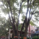 신길7동주민센터 이미지