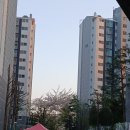 밤꽃마을뜨란채 공인중개사사무소 이미지