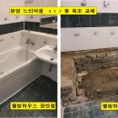 분당-311 이미지