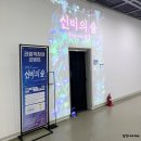 원광 제1발전소 | [대구 중구] 실내 데이트 추천 대구예술발전소 신비의숲 무료관람 솔직 후기