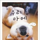 마메네 집