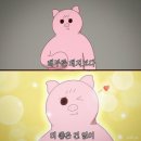 클로버포케 이미지