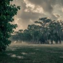 김정호한의원 이미지