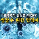 장수비책