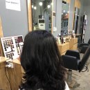 보그헤어(vogue hair)
