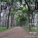 즐런, 곰솔<b>누리</b><b>숲</b>(시흥)에서