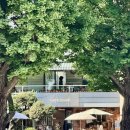 스톤즈디자인 | 북촌 대형카페 추천! 삼청동 감성카페 '포스톤즈 삼청점' 루프탑 후기