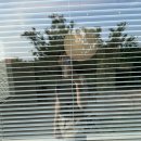 오월향가 이미지