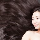 마로헤어 이미지