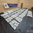 코카인 매일경제