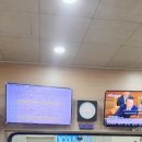 울진봄날애햇살 이미지