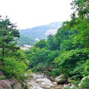서울 은평구 북한산성계곡길 ('26.7.17) 이미지