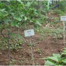 소하한의원 이미지