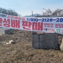 천만농장2 이미지