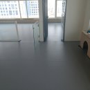 댕댕학당 이미지