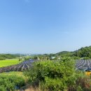 덕현농장 이미지