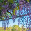 합도초등학교 이미지