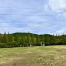 인천대공원(야외음악당 옆) | 2024.04.21 인천대공원 튤립, 어린이동물원, 남문주차장, 기차왕국박물관카페, 대공원돈까스