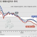 모아그래픽 이미지
