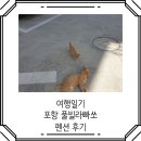 풀빌라빠쏘 - 16880 | 8월 포항, 경주 방문기 풀빌라 빠쏘 펜션 후기