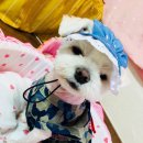 타임까페