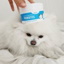 와조펫(WAZOPET) | 강아지유산균 닥터리 와조 프로바이오틱스 후기