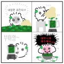 편입 시험 후기(1)🎄
