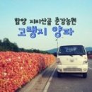큰밭농원 이미지