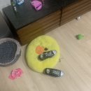 경희행복 한약국 이미지