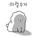 봉화강아지마을 이미지