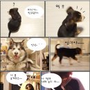 비니스토리 이미지