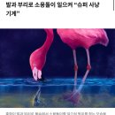 온나게장 | !순!수한 !천!사의 영혼의 소유자인 나의 !순천! 여행 (ft.여수)