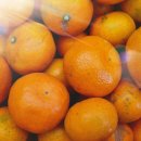 철이농장 이미지