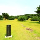 용인시박물관 (구 용인문화유적전시관) 이미지