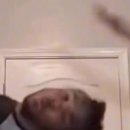 보리보리쌀 이미지