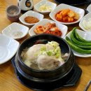 한방장수삼계탕 | 소사역맛집 삼계탕으로 몸보신하기 장수삼계탕 한방 삼계탕 후기