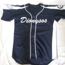 디오니스 이미지