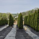 송촌동주민센터 인도 | ‘정이 넘치는 마을’ 사정1리에서 보낸 봄날｜마을여행 봄꽃산책 후기!